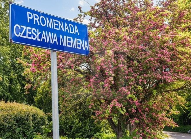 Mieszkanie Sprzedaż Częstochowa Północ 12