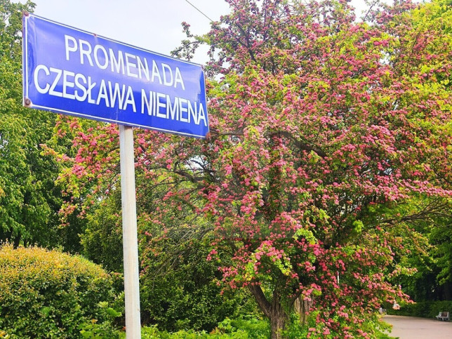 Mieszkanie Sprzedaż Częstochowa Tysiąclecie 11