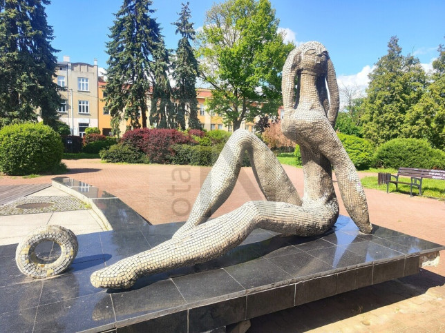 Mieszkanie Sprzedaż Częstochowa Centrum 10